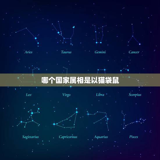 哪个国家属相是以猫袋鼠,哪些国家也有十二生肖 哪个国家属相是以猫袋鼠,哪些国家也有十二生肖
