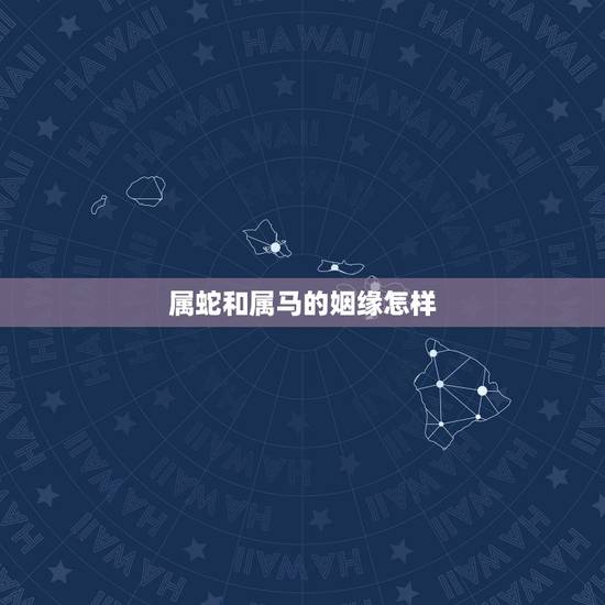 属蛇和属马的姻缘怎样,属蛇和属马不合怎么离婚 属蛇和属马的姻缘怎样,属蛇和属马不合怎么离婚
