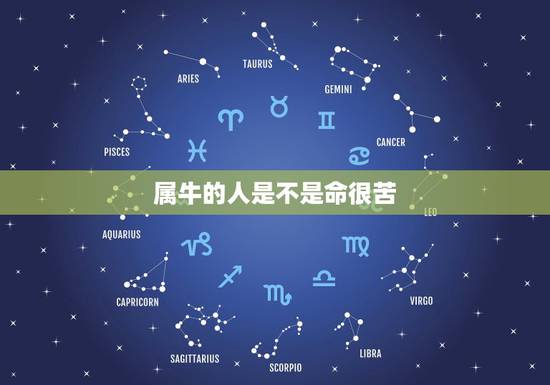 属牛的人是不是命很苦，属牛的命苦？