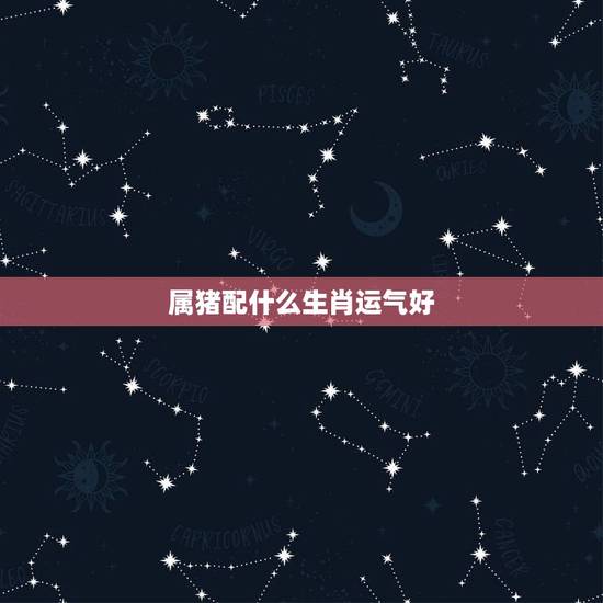 属猪配什么生肖运气好，生肖猪的旺财花是什么