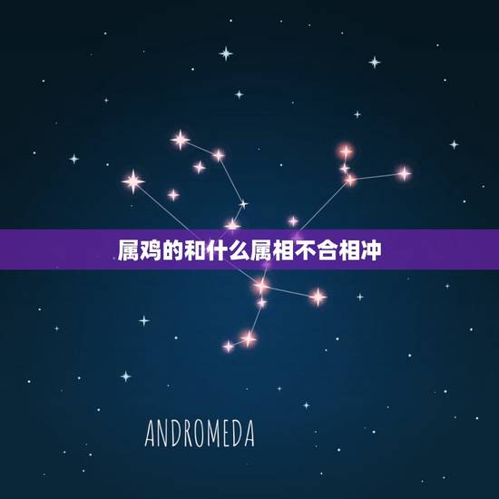 属鸡的和什么属相不合相冲，属兔2022 年运势及运程1999