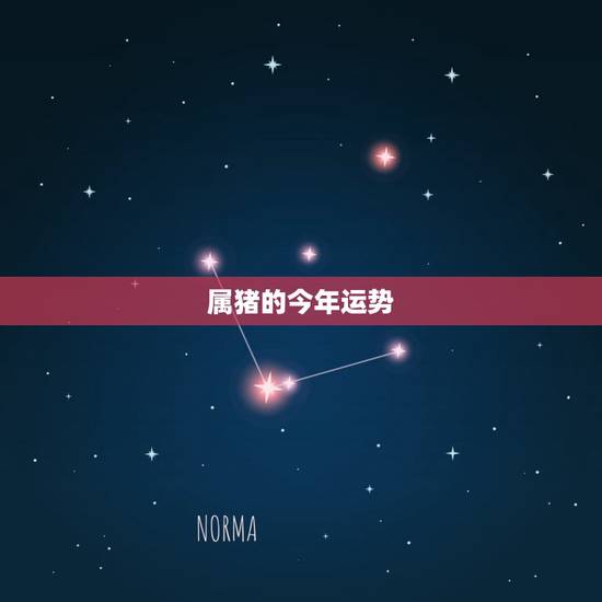 属猪的今年运势，83年的猪38岁后命好