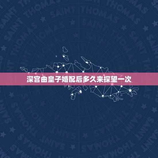 深宫曲皇子婚配后多久来探望一次，深宫曲怎么收买宫女