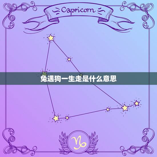 兔遇狗一生走是什么意思,狗兔六合本为亲 兔遇狗一生走是什么意思,狗兔六合本为亲