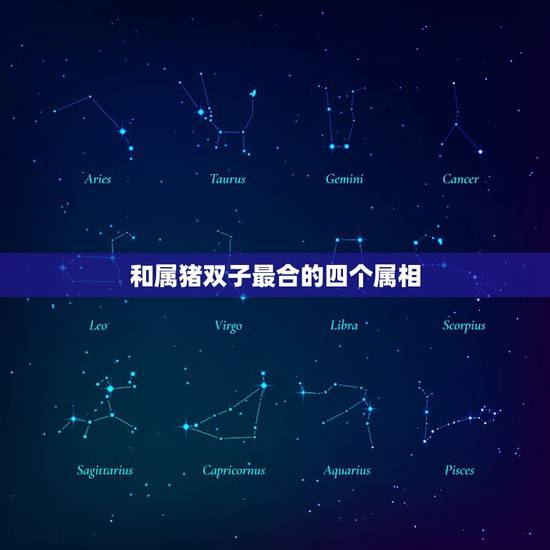 和属猪双子最合的四个属相，属马和属猪合不合财运