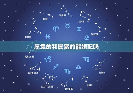 属兔的和属猪的能婚配吗,属猪的和属兔的在一起属相配吗 属兔的和属猪的能婚配吗,属猪的和属兔的在一起属相配吗