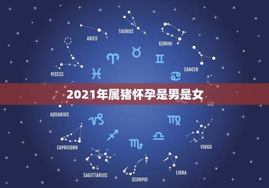 2021年属猪怀孕是男是女,7|年属猪女2021年的每月运势 2021年属猪怀孕是男是女,7|年属猪女2021年的每月运势