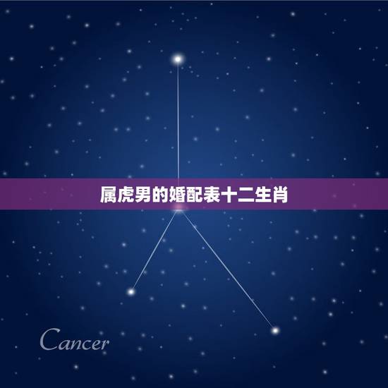 属虎男的婚配表十二生肖,十二生肖男女婚配表 属虎男的婚配表十二生肖,十二生肖男女婚配表