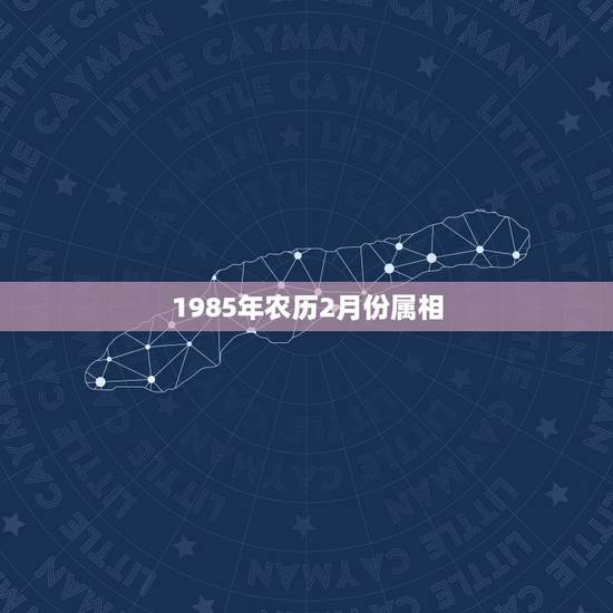 1985年农历2月份属相，我是农历1985年2月6日，出生的，想问一下