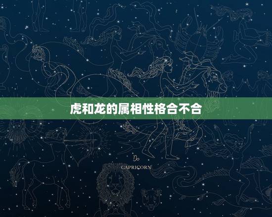 虎和龙的属相性格合不合，生肖是虎和龙的人在一起真的不好吗