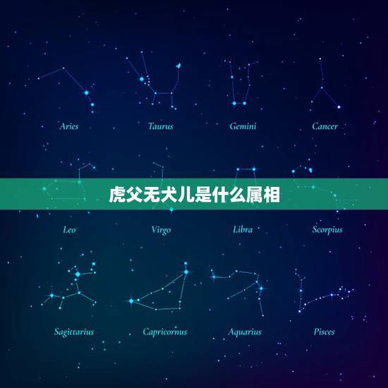 虎父无犬儿是什么属相，虎父无犬子是比喻什么生肖呢