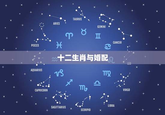 十二生肖与婚配,十二生肖更佳婚配表 十二生肖与婚配,十二生肖更佳婚配表