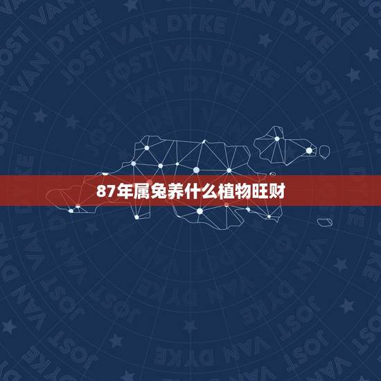 87年属兔养什么植物旺财,属兔的养什么植物旺财 87年属兔养什么植物旺财,属兔的养什么植物旺财