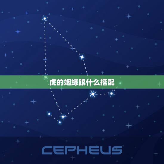 虎的姻缘跟什么搭配,十二生肖虎更佳姻缘配对 虎的姻缘跟什么搭配,十二生肖虎更佳姻缘配对