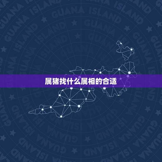 属猪找什么属相的合适，属猪的适合找个什么属相结婚