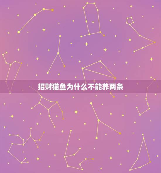 招财猫鱼为什么不能养两条，招财猫鱼是风水鱼吗？要养几条合适？
