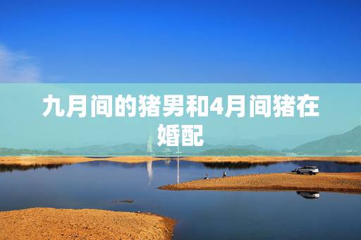 九月间的猪男和4月间猪在婚配,1995年四月的猪和1995年9月的猪合 九月间的猪男和4月间猪在婚配,1995年四月的猪和1995年9月的猪合