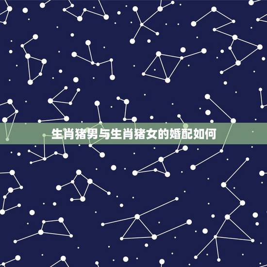 生肖猪男与生肖猪女的婚配如何,属相婚配:男属猪和女属猪相配吗 生肖猪男与生肖猪女的婚配如何,属相婚配:男属猪和女属猪相配吗
