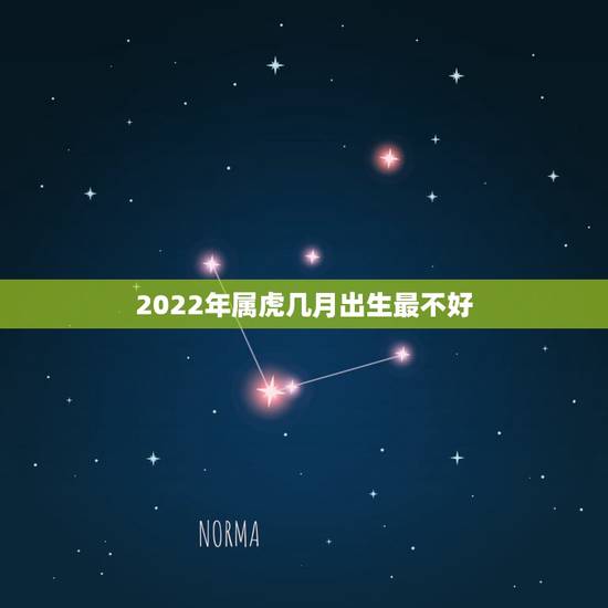 2022年属虎几月出生最不好，2022年不生几月虎