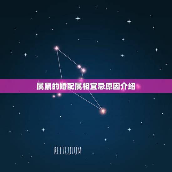 属鼠的婚配属相宜忌原因介绍，属鼠的和什么属相最配