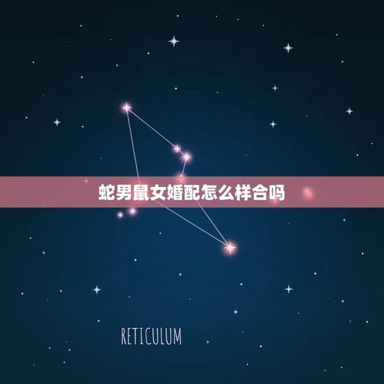蛇男鼠女婚配怎么样合吗,女属鼠和男属蛇相配吗 蛇男鼠女婚配怎么样合吗,女属鼠和男属蛇相配吗