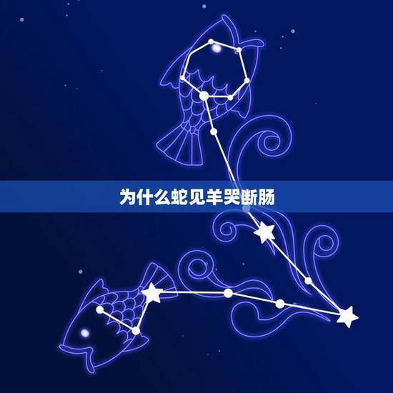 为什么蛇见羊哭断肠,男蛇女羊婚姻长久吗 为什么蛇见羊哭断肠,男蛇女羊婚姻长久吗