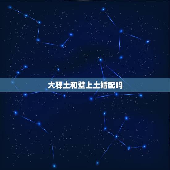 大驿土和壁上土婚配吗，路旁土，城头土，屋上土，壁上土，大驿土，沙中土哪