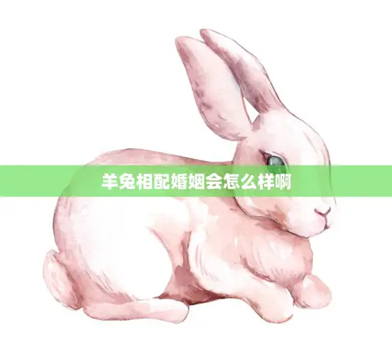 羊兔相配婚姻会怎么样啊(幸福美满还是坎坷不平) 羊兔相配婚姻会怎么样啊(幸福美满还是坎坷不平)