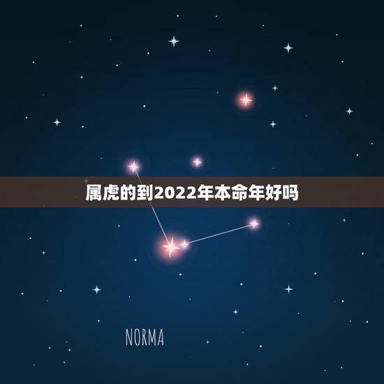 属虎的到2022年本命年好吗,属虎2022年运势及运程 属虎的到2022年本命年好吗,属虎2022年运势及运程