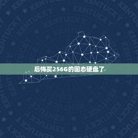 后悔买256G的固态硬盘了，我想买一个256g的固态硬盘，要什么的好？