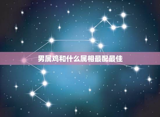 男属鸡和什么属相最配最佳，男孩子属鸡和什么属相比较好
