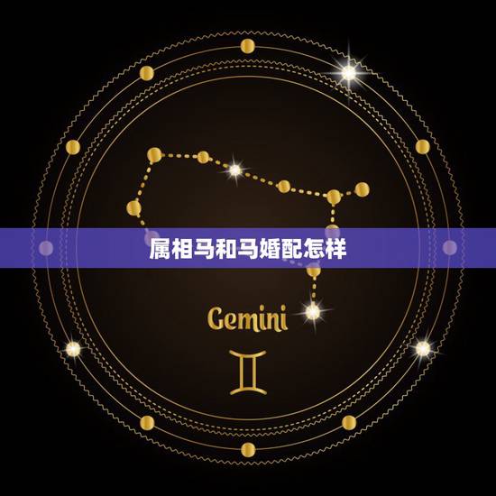 属相马和马婚配怎样，属马的和什么属相最配 属马的属相婚配表