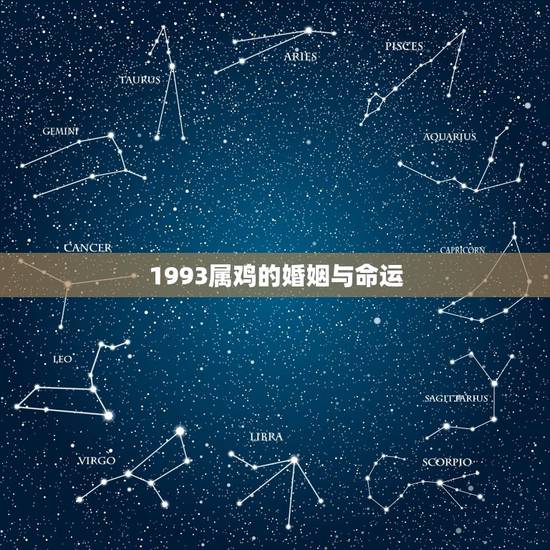 1993属鸡的婚姻与命运,1993属鸡的桃花贵人 1993属鸡的婚姻与命运,1993属鸡的桃花贵人