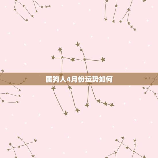 属狗人4月份运势如何，属狗人未来三年运势