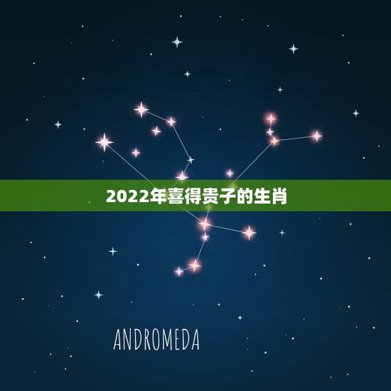 2022年喜得贵子的生肖,2022年生肖运势详解 2022年喜得贵子的生肖,2022年生肖运势详解