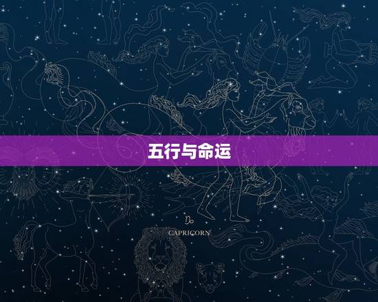 五行与命运