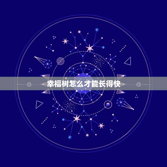 幸福树怎么才能长得快，幸福树一直长高，但不粗壮怎么办？