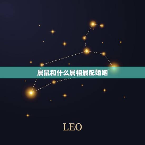 属鼠和什么属相最配婚姻,属鼠什么生肖结合是更佳婚配 属鼠和什么属相最配婚姻,属鼠什么生肖结合是更佳婚配