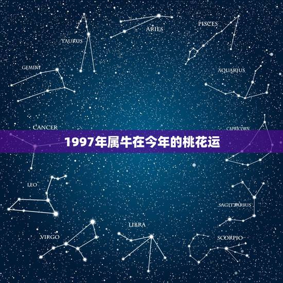 1997年属牛在今年的桃花运，属牛的今年有桃花运吗