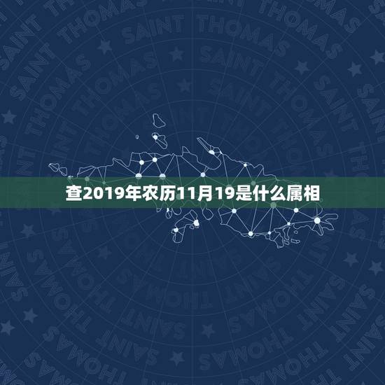 查2019年农历11月19是什么属相，2019年农历11月19日12点