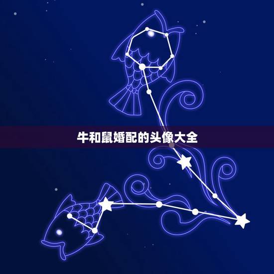 牛和鼠婚配的头像大全，属鼠和属牛相配吗？