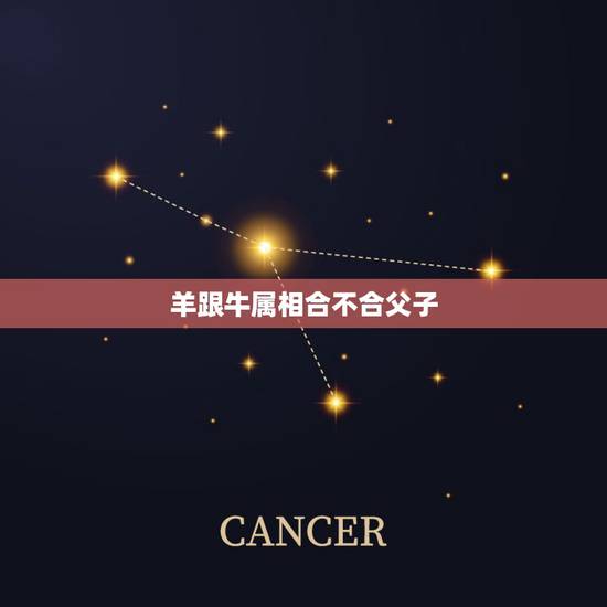 羊跟牛属相合不合父子，为什么羊牛属相不合
