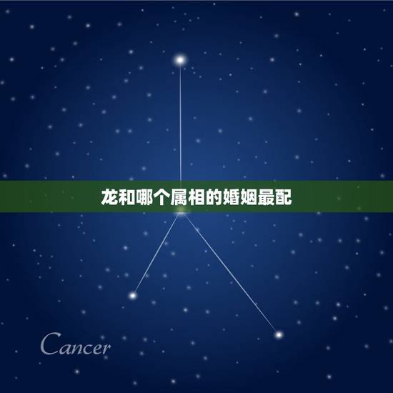 龙和哪个属相的婚姻最配，属龙和什么属相最配