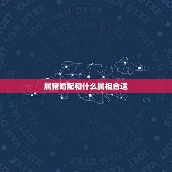 属猪婚配和什么属相合适,属猪和什么生肖合得来 属猪婚配和什么属相合适,属猪和什么生肖合得来