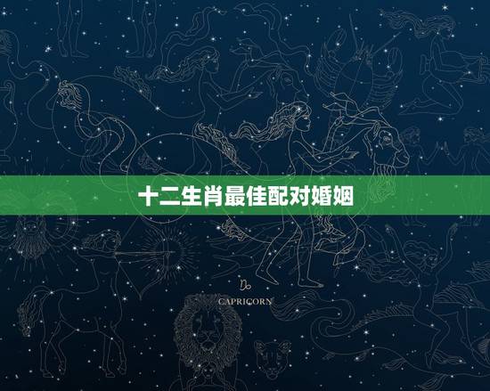 十二生肖最佳配对婚姻,十二生肖配对姻缘合婚 十二生肖最佳配对婚姻,十二生肖配对姻缘合婚