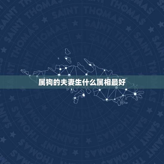 属狗的夫妻生什么属相最好，属虎和属狗夫妻生什么属相好
