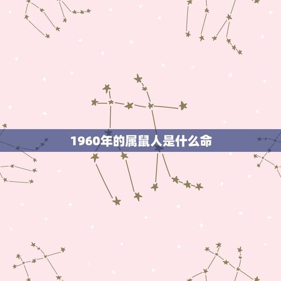 1960年的属鼠人是什么命,属鼠的人什么命 1960年的属鼠人是什么命,属鼠的人什么命