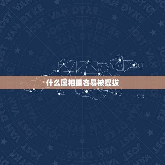 什么属相最容易被提拔，什么样的员工最容易被提拔为管理者？