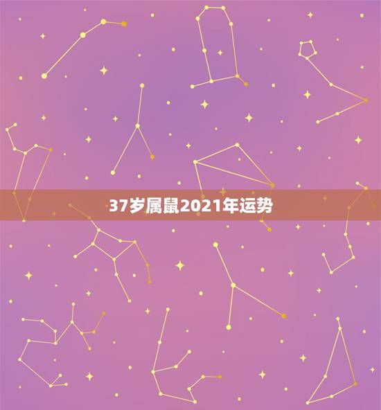 37岁属鼠2021年运势，2021鼠人全年运势