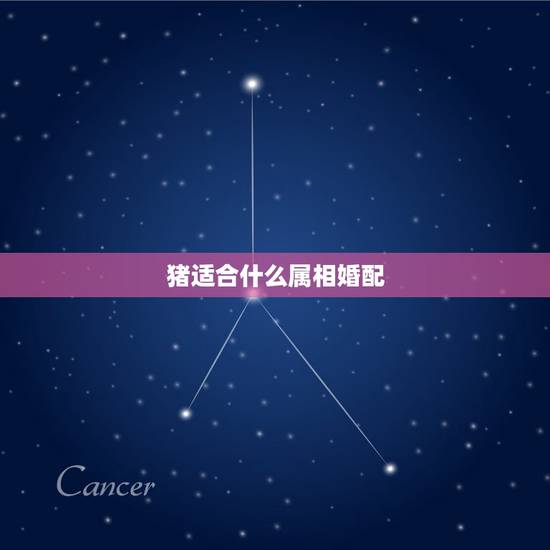猪适合什么属相婚配,猪候属相婚配好 猪适合什么属相婚配,猪候属相婚配好